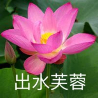 权利之歌官方版下载