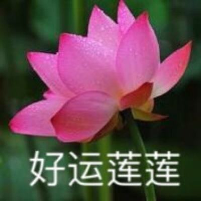 仗剑入江湖游戏