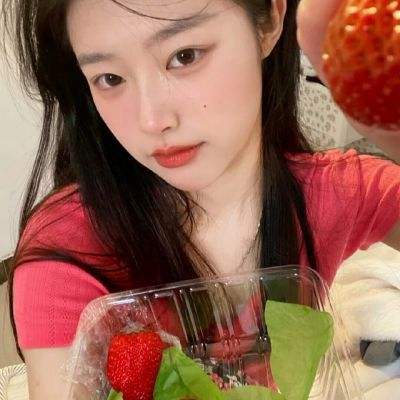 混沌与秩序单机修改版下载