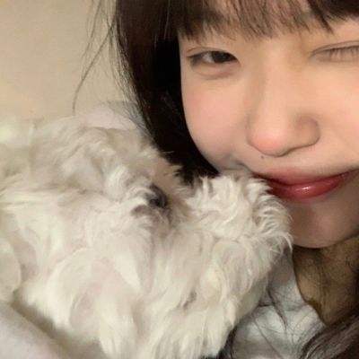 逍遥浪人h5官方下载